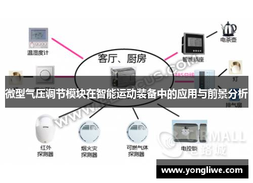 微型气压调节模块在智能运动装备中的应用与前景分析
