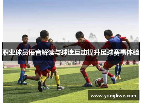 职业球员语音解读与球迷互动提升足球赛事体验